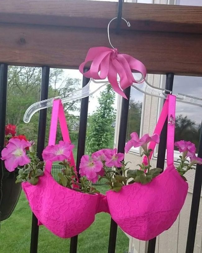Bra Planter Hanging Succulents