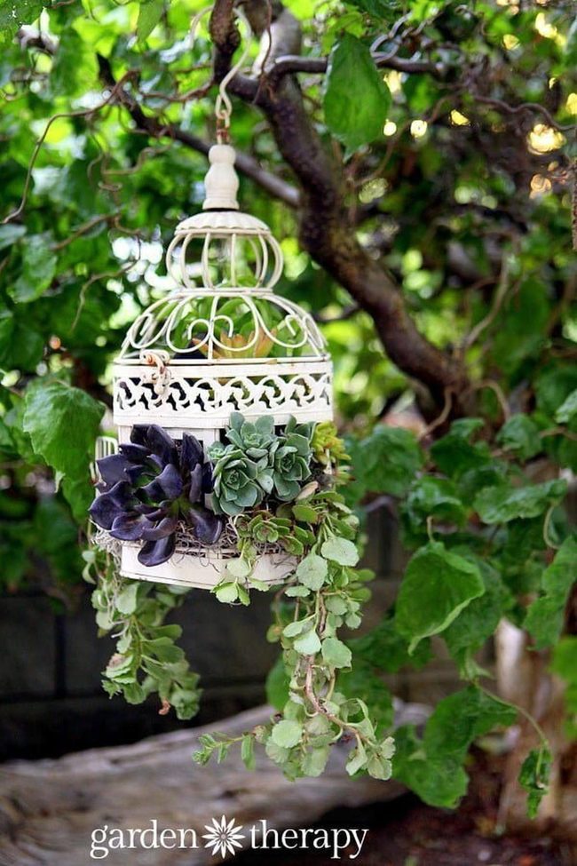 Birdcage Lattice Flower Displays