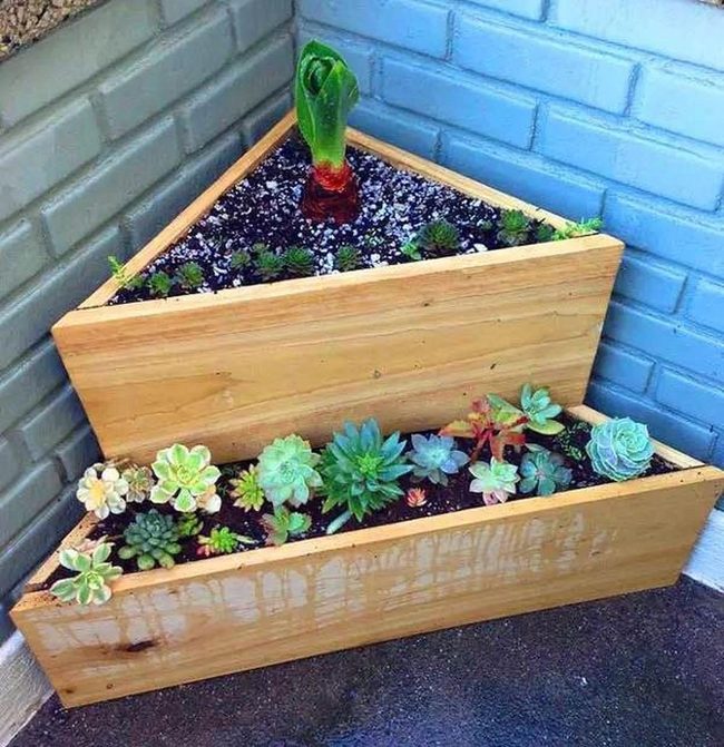 Tiered Wood Succulent Display