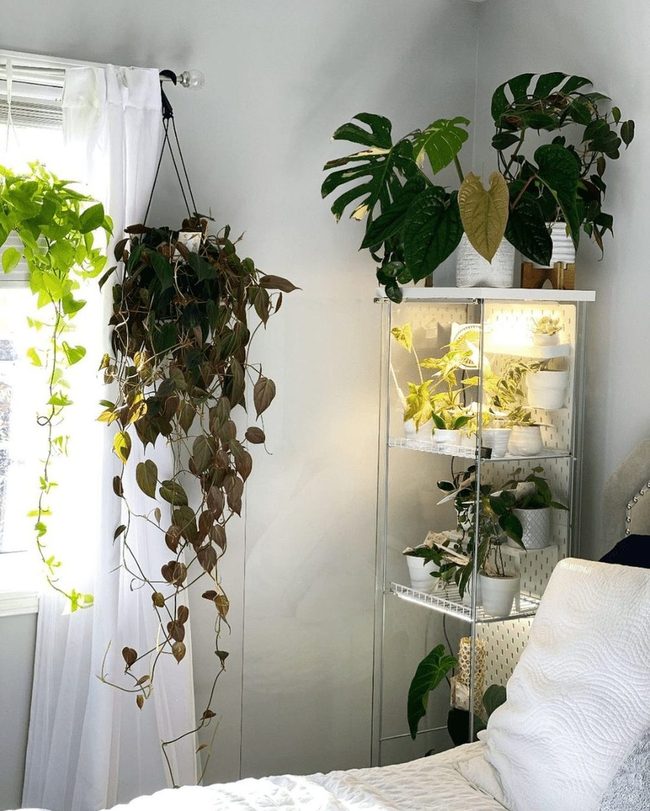 Pegboard Display For Tiny Planters