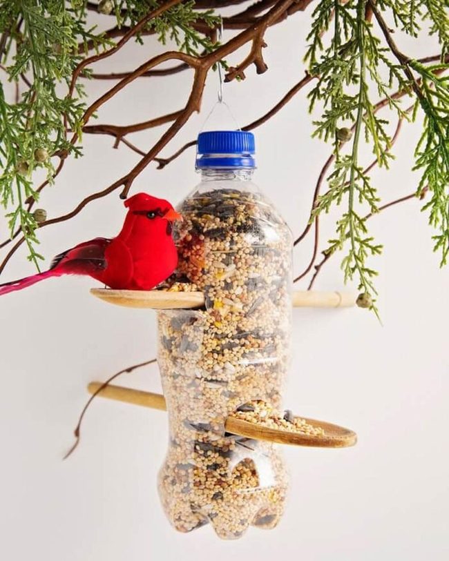 Recycled Bottle Bird Feeders