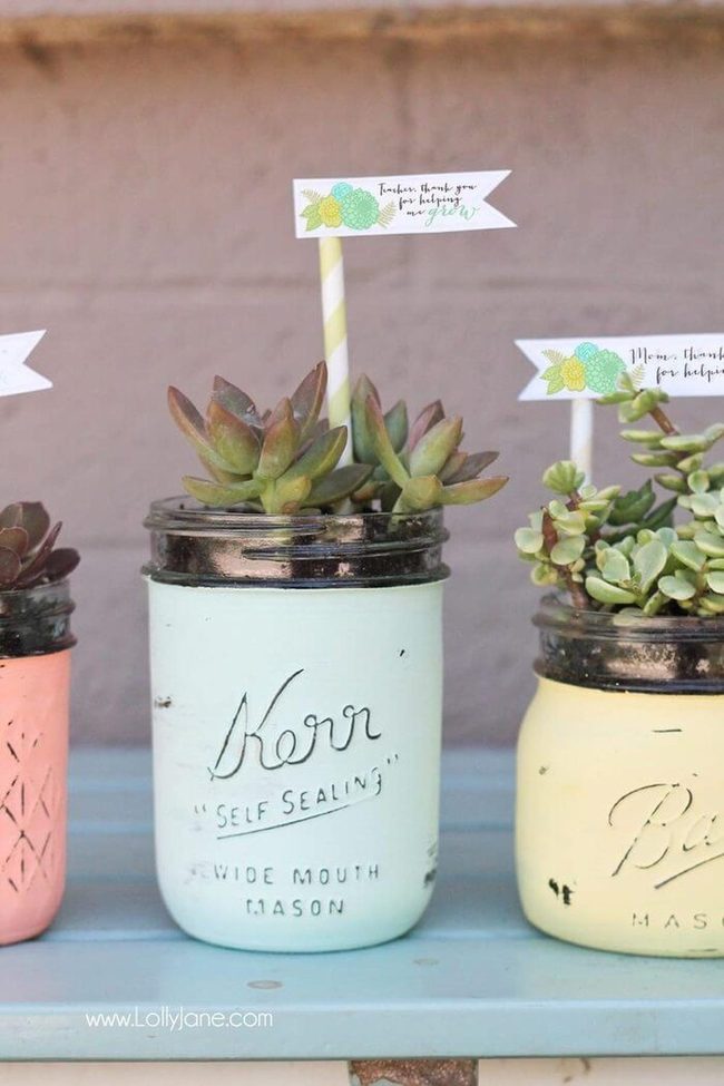 Mason Jar Succulent Garden