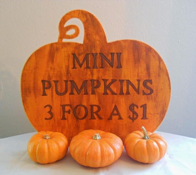 Orange Mini Pumpkins On White