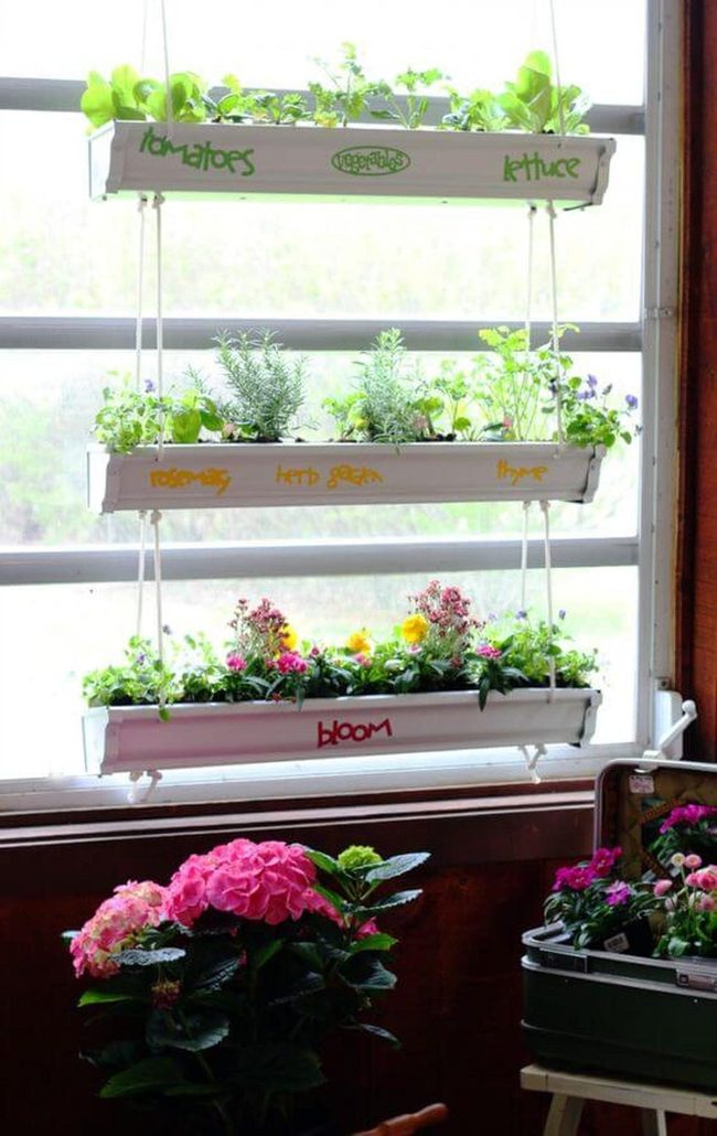 Vertical Wall Garden Living