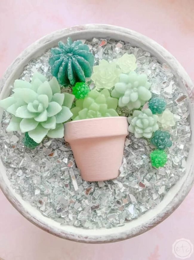 Shimmering Succulent Mirror Garden