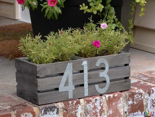Dual-Purpose Plant Address Display