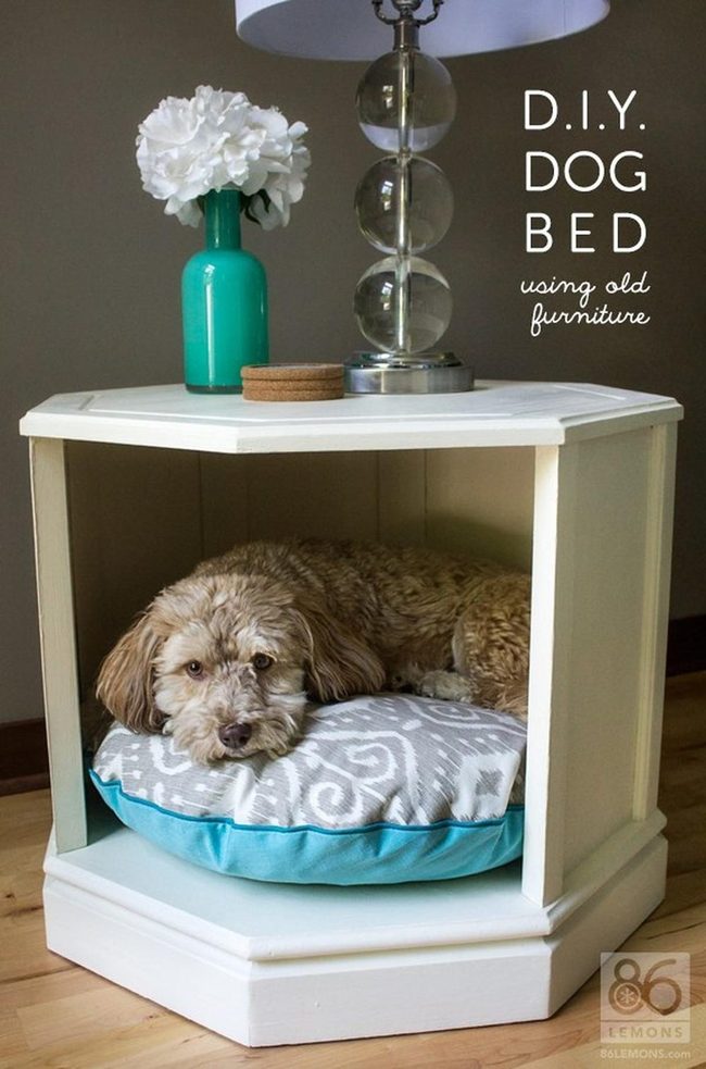 Round Cushioned Dog Bed