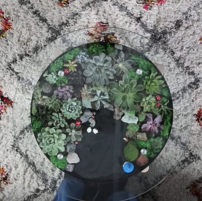 Living Plant Centerpiece Table