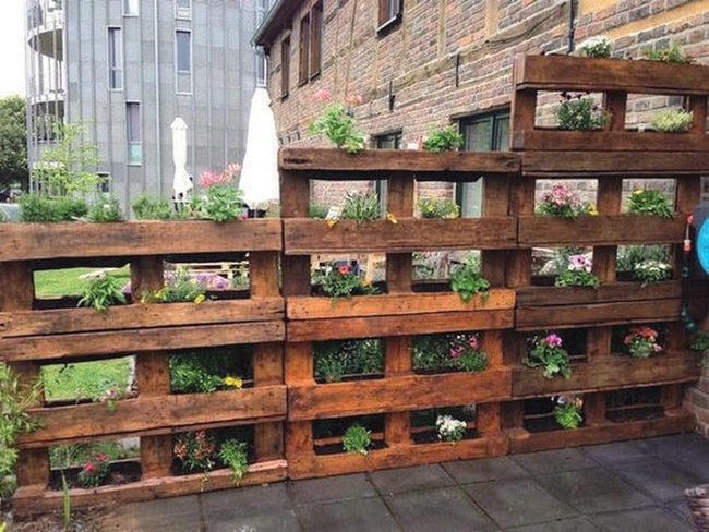 Green Plants On Brown Wood