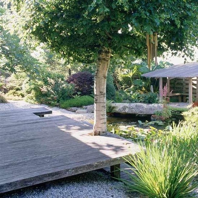 Woodland Pond Garden Retreat