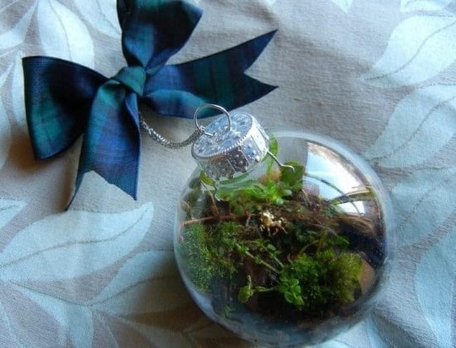 Suspended Moss Glass Ornaments