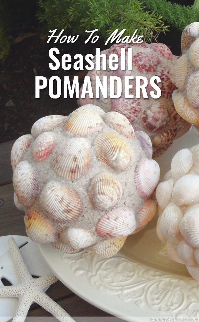 Scallop Shell Garden Spheres