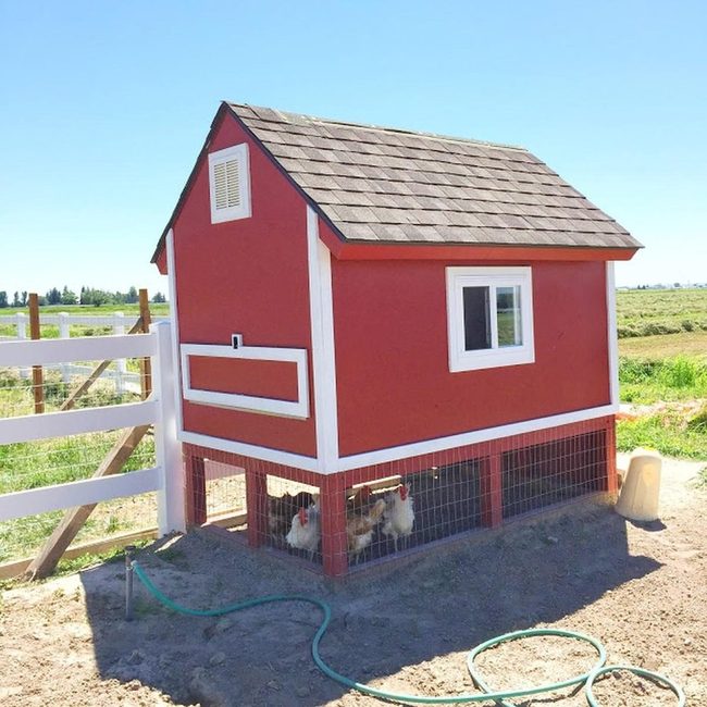 Red Coop Country Classic