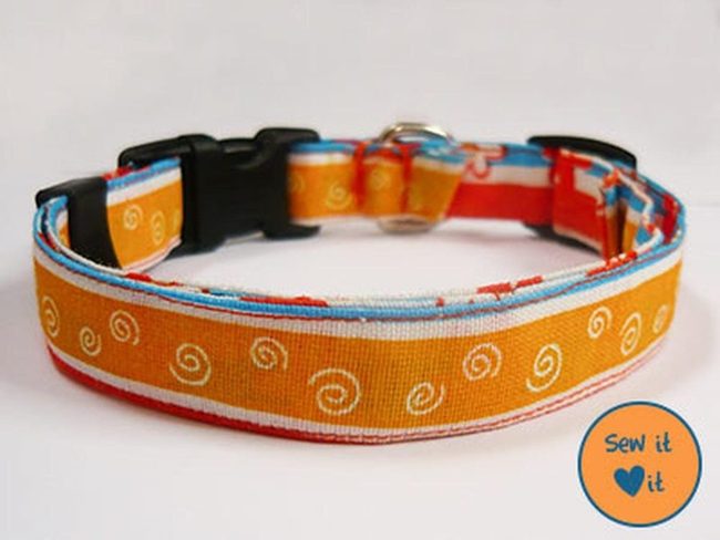 Orange Spiral Pup Fashion