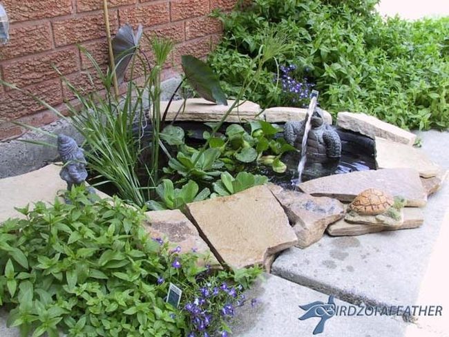 Hidden Basin Water Fountain