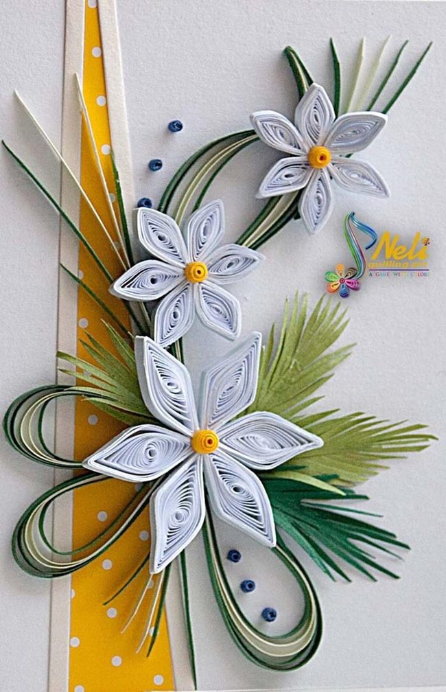 White Blooms Yellow Centers Green
