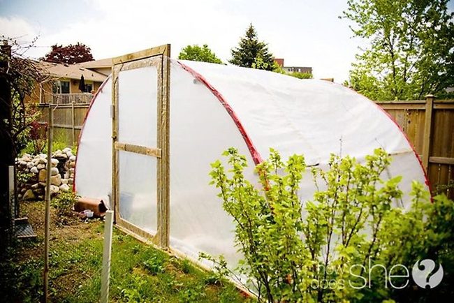 Wooden Greenhouse With Lush Surroundings
