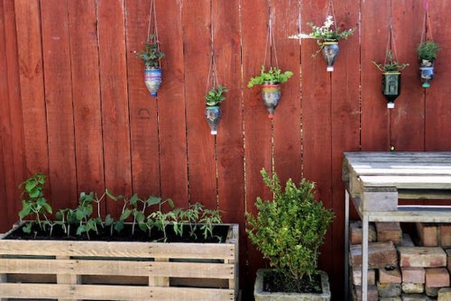Recycled Bottles Vertical Garden