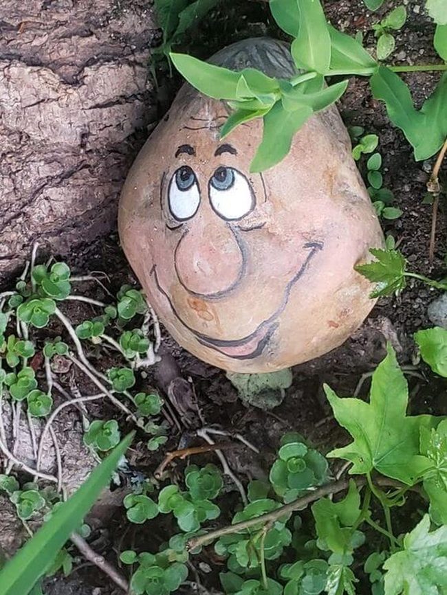 Smiling Stones Garden Pop