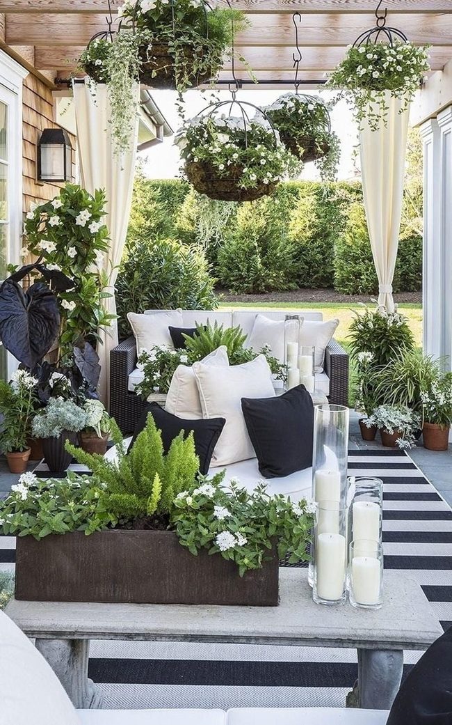 Hanging Plants, White Furniture, Shadows