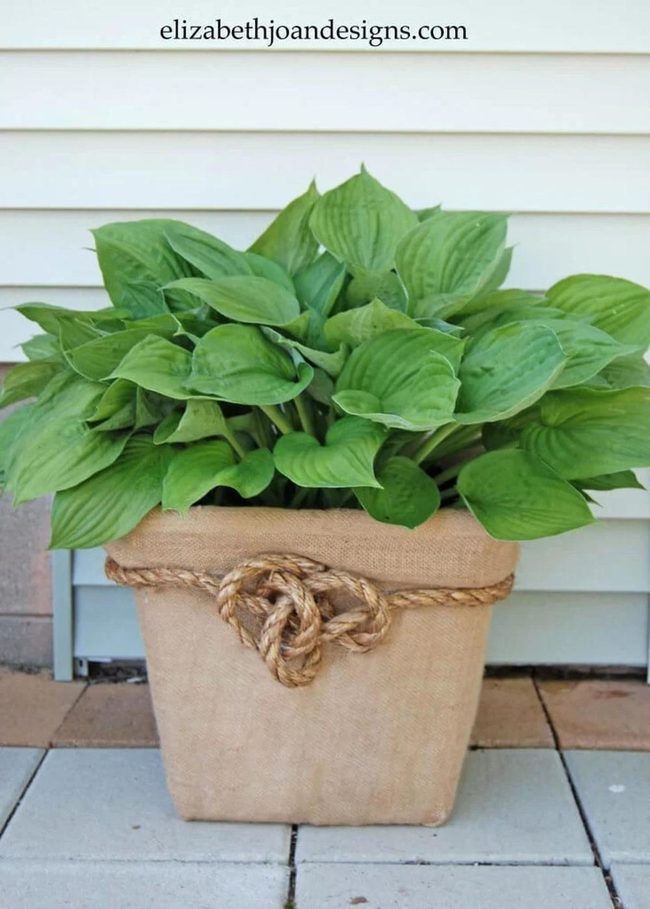 Burlap Basket Planted Container
