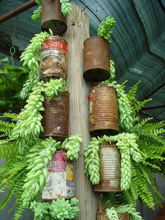 Vertical Tin Succulent Towers