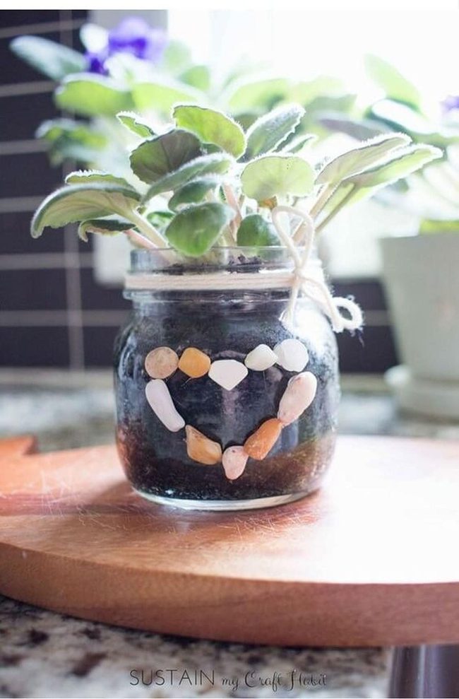Glass Jar Terrarium Garden
