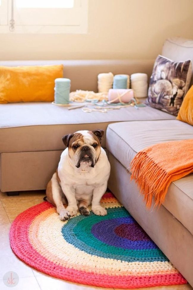 Striped Rug, Cozy Bulldog Dreams