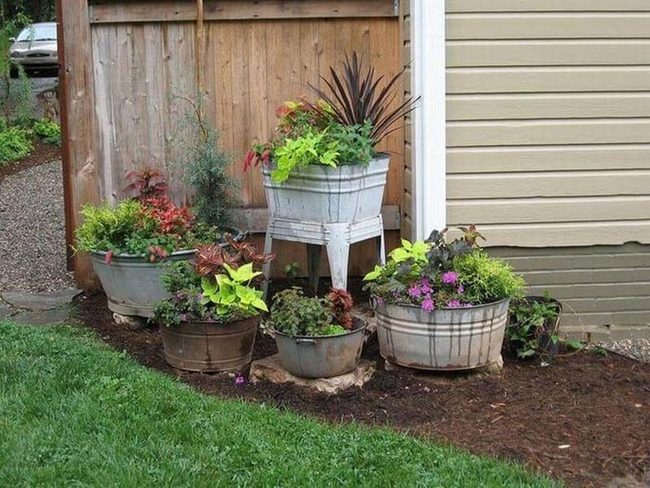 Weathered Tubs, Fresh Herbs