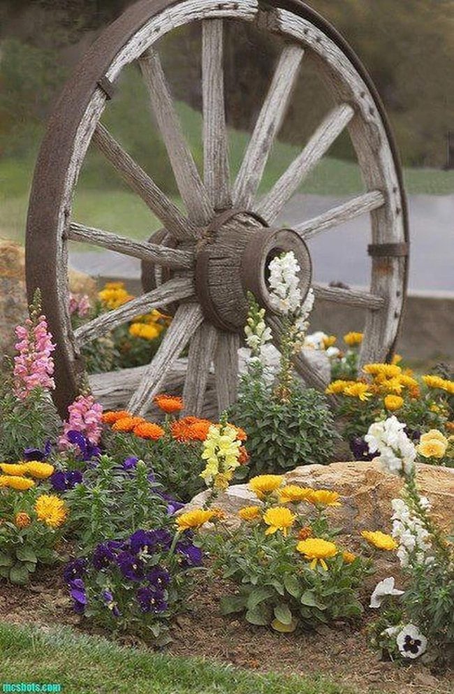 Weathered Wheel Blooming Garden
