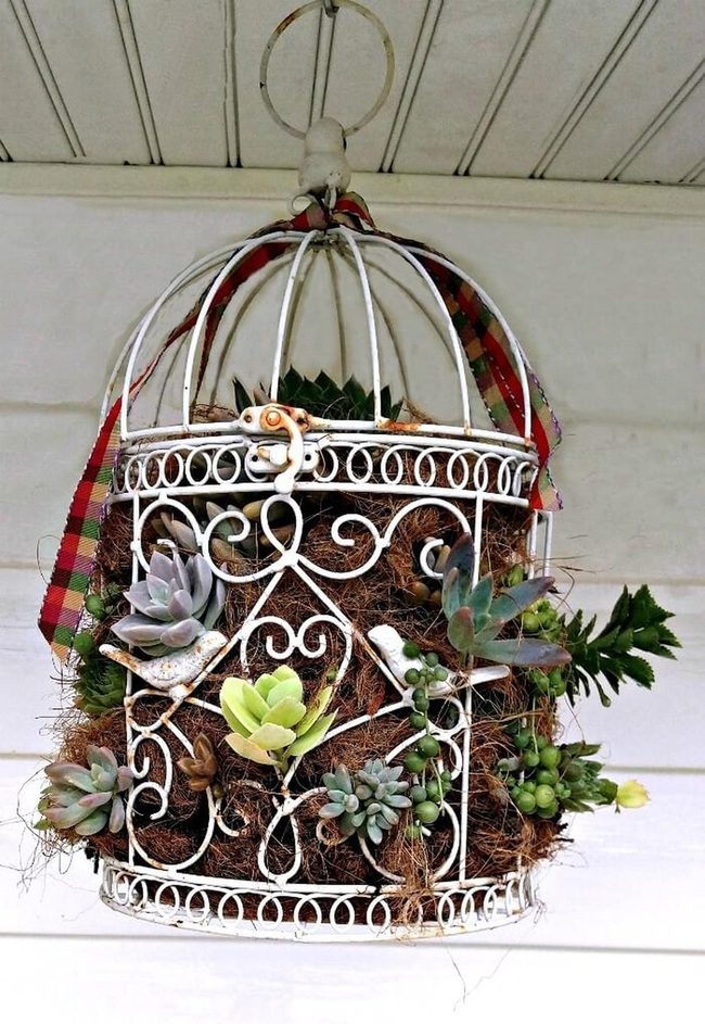 White Metal Birdcage Succulent Planter