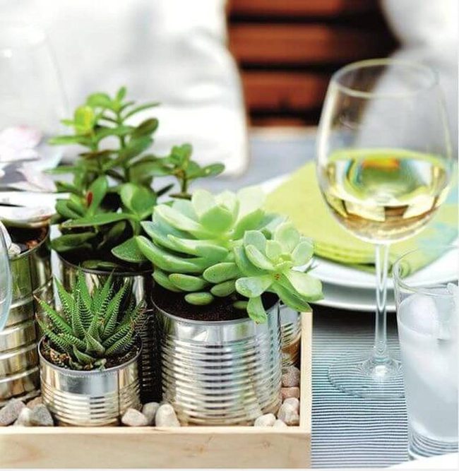 Tin Can Succulents On Wood