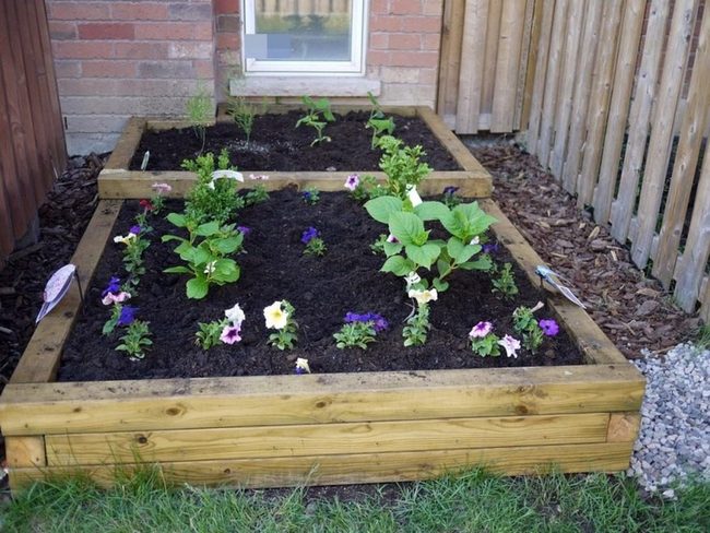 Wooden Frames, Blooming Garden
