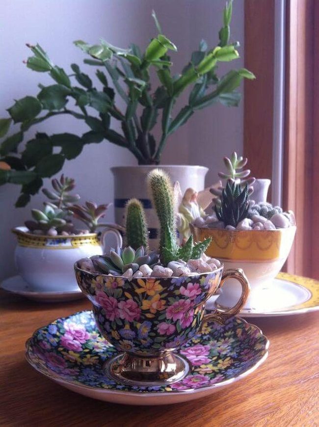 Vintage Teacup Succulent Planters