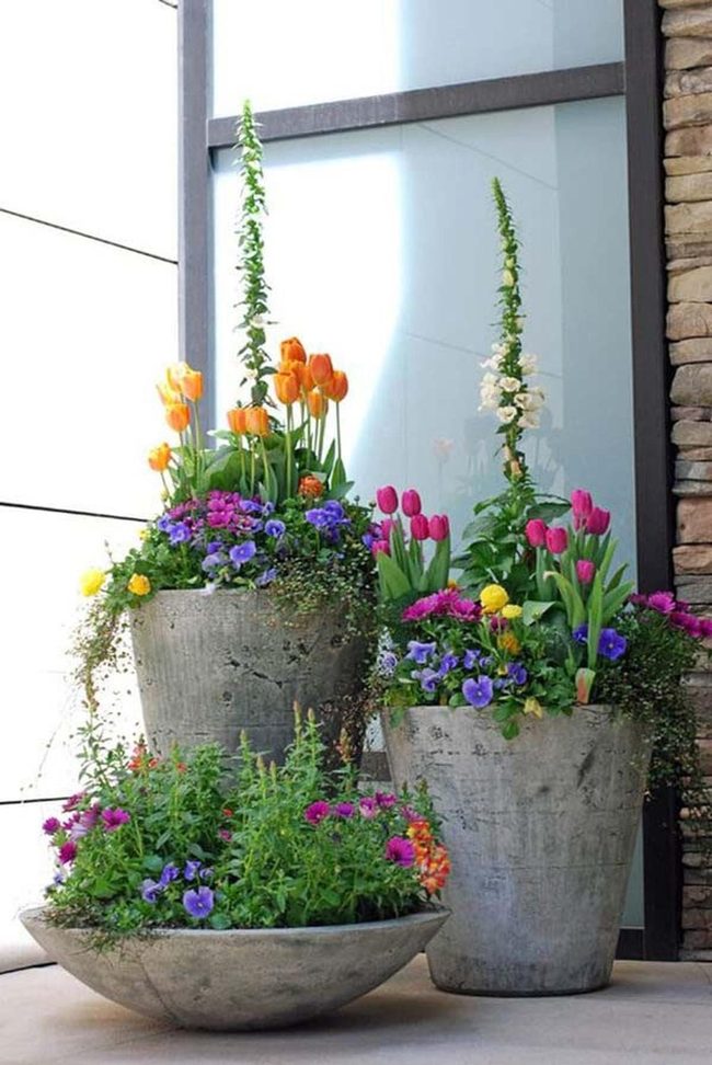 Concrete Succulent Containers Diy
