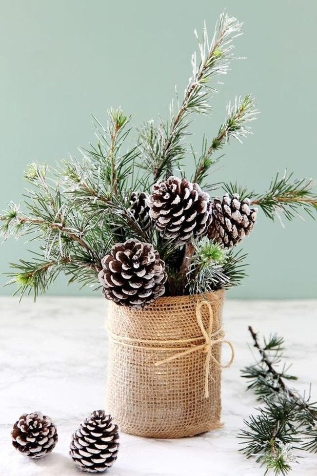 Frosted Pine With Burlap Base
