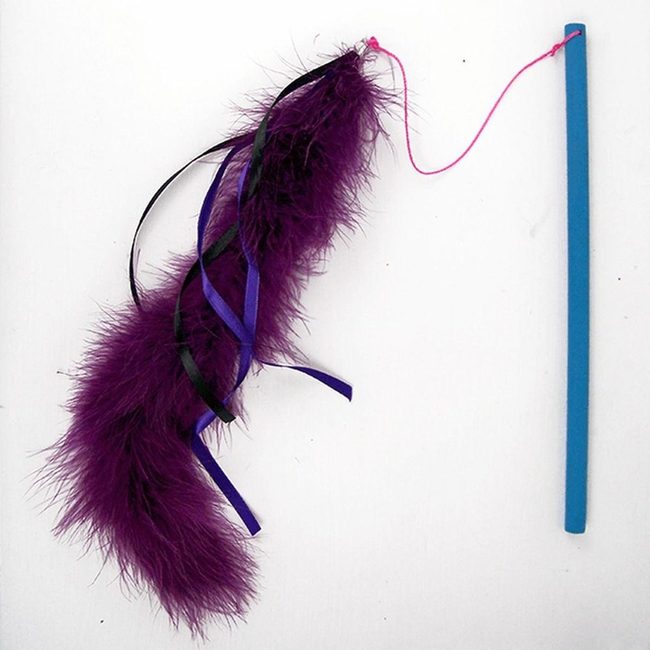 Purple Feather Wands Black Ribbons