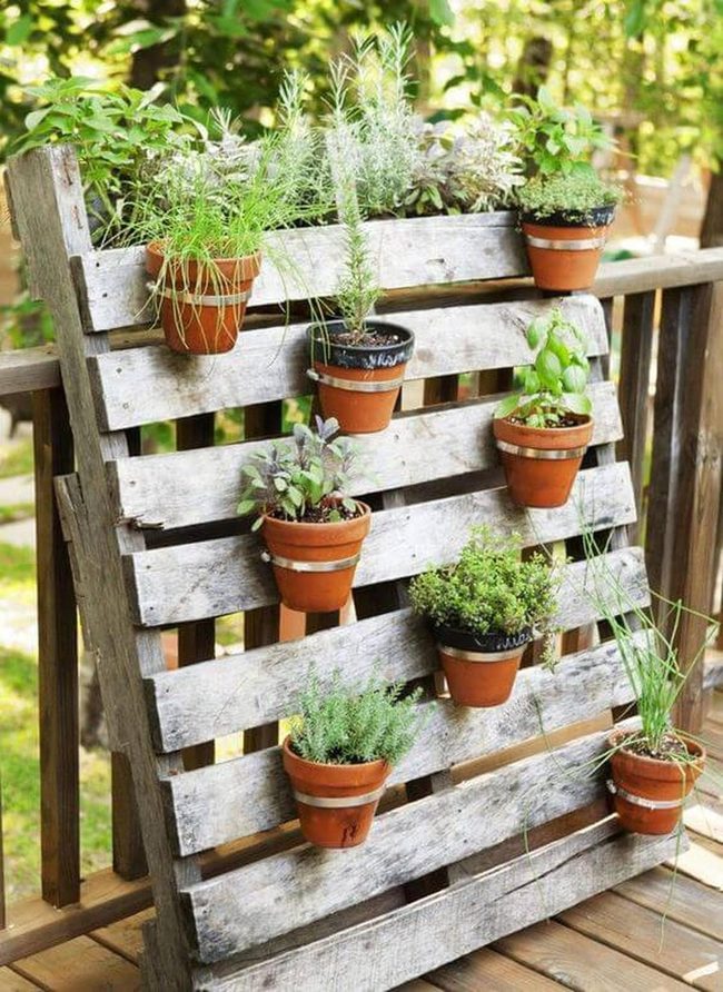 Wooden Pallets Green Herbs