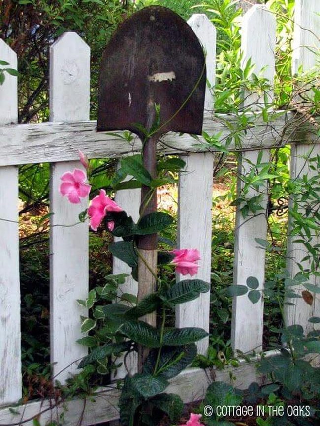 Shovel Trellis With Climbing Vines