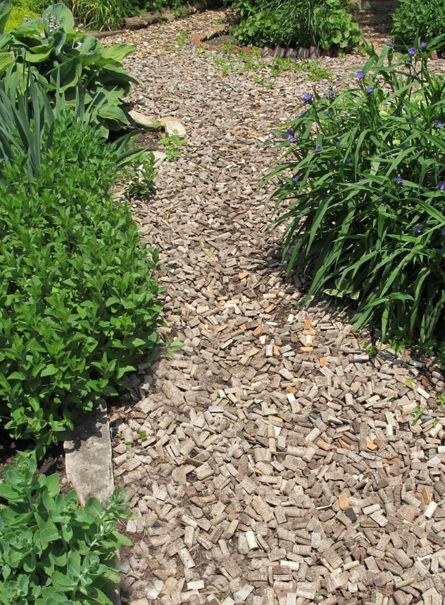 Earthy Brown Chip Pathways