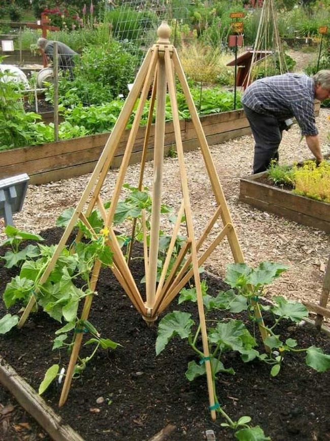 Umbrella Trellis For Climbing Vines