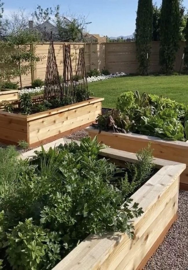 Wooden Beds, Growing Greens