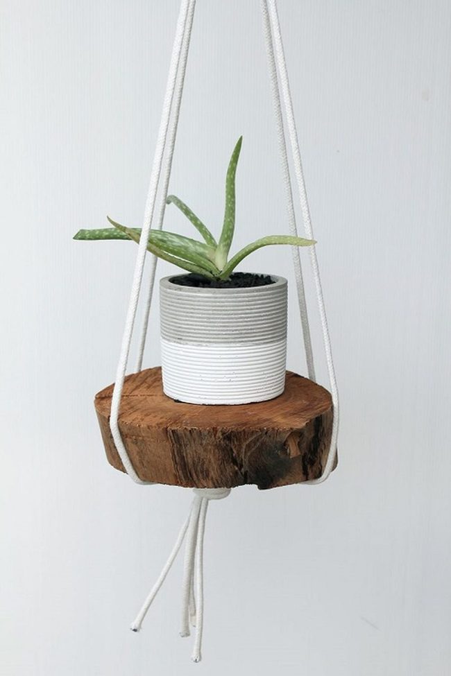 Raw Wood Plant Holders