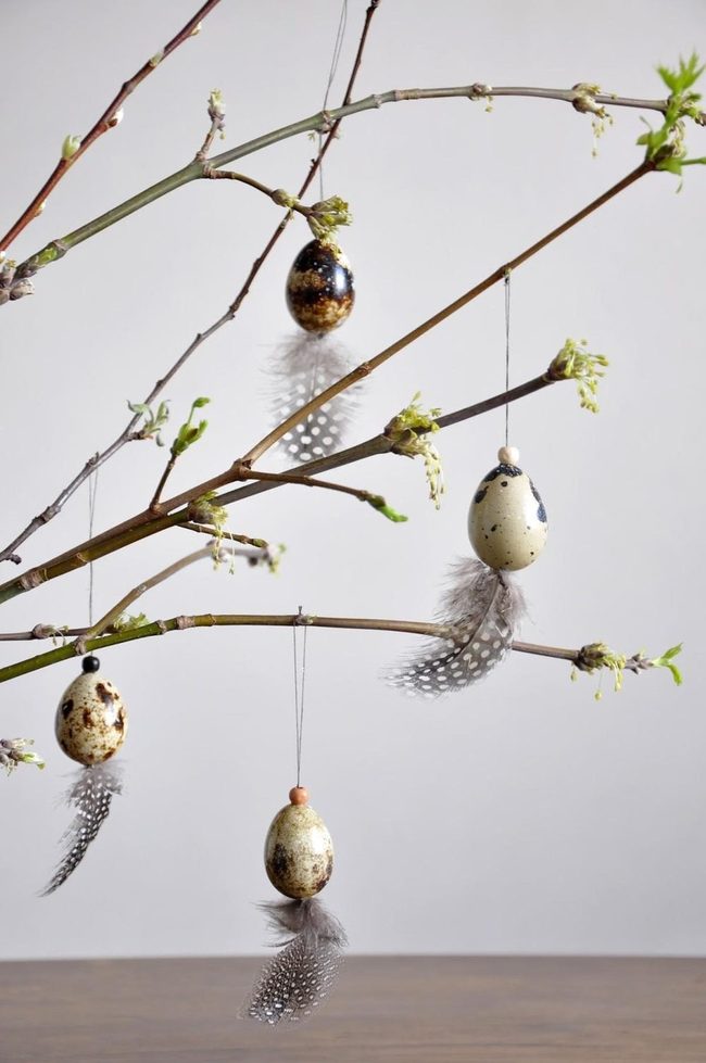 Speckled Eggs Among Spring Branches