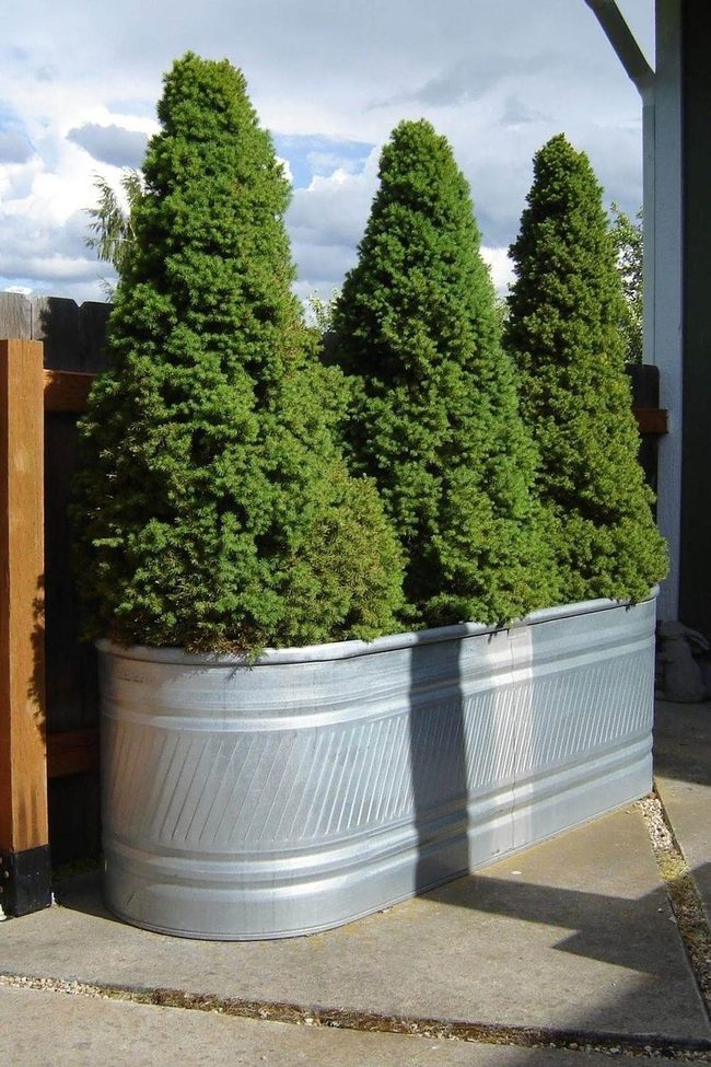 Galvanized Tub Flower Planters