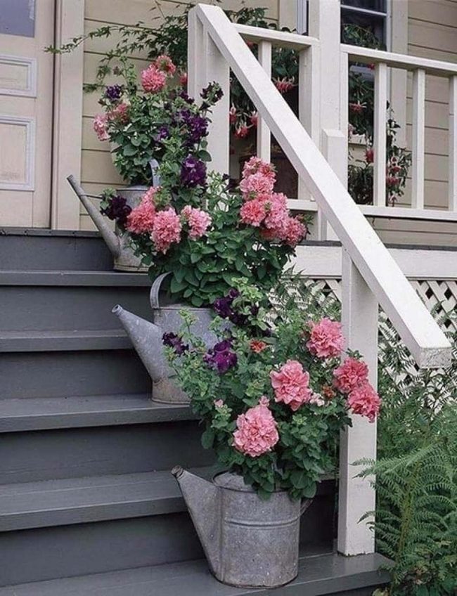 Vintage Watering Cans, Living Flowers