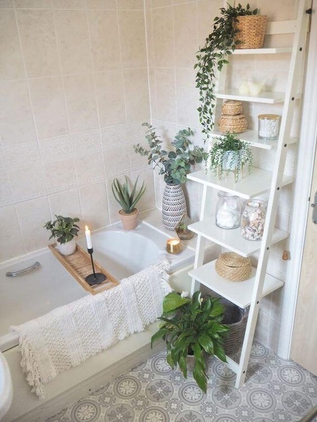 Neutral Plants And Soft Candlelight