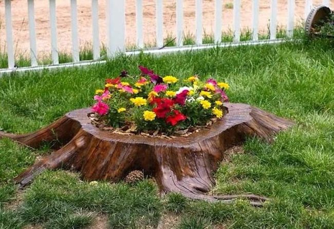 Sealed Wood Stumps, Living Planters