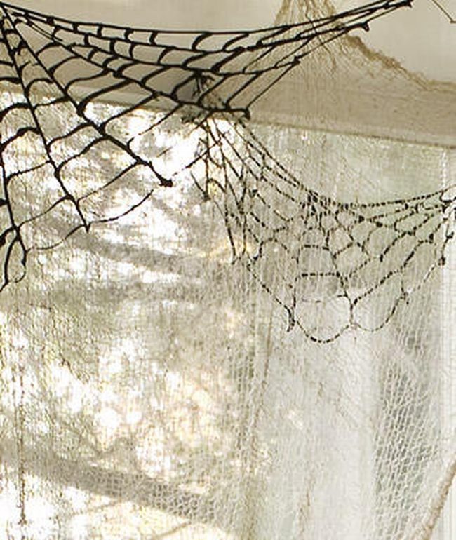 Black Webs On White Lace