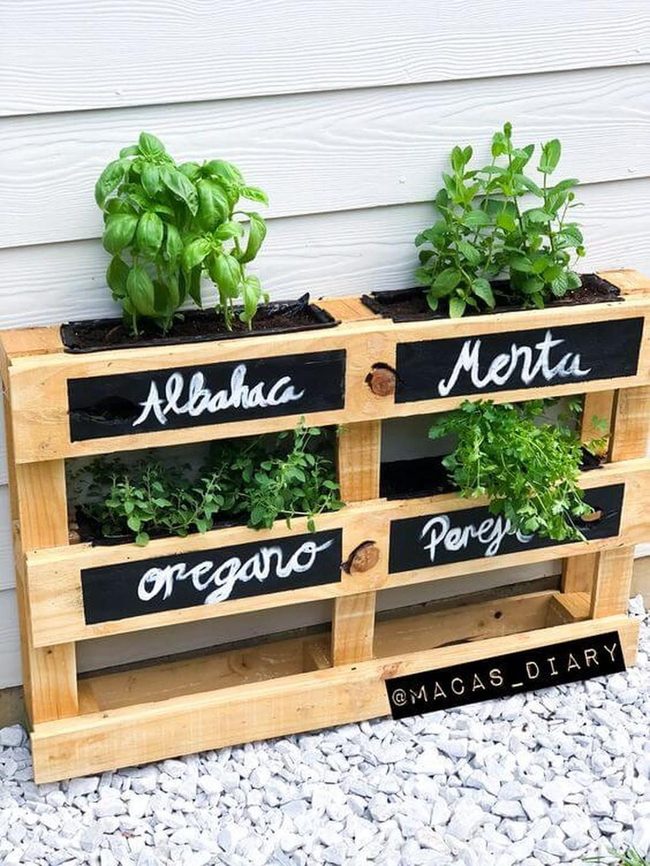 Vertical Pallet Herb Wall